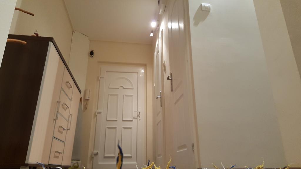 Aquarius Apartman Szeged Extérieur photo
