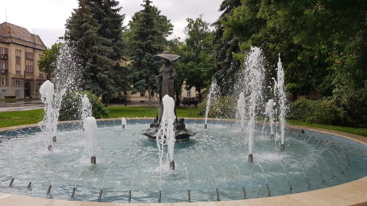 Aquarius Apartman Szeged Extérieur photo